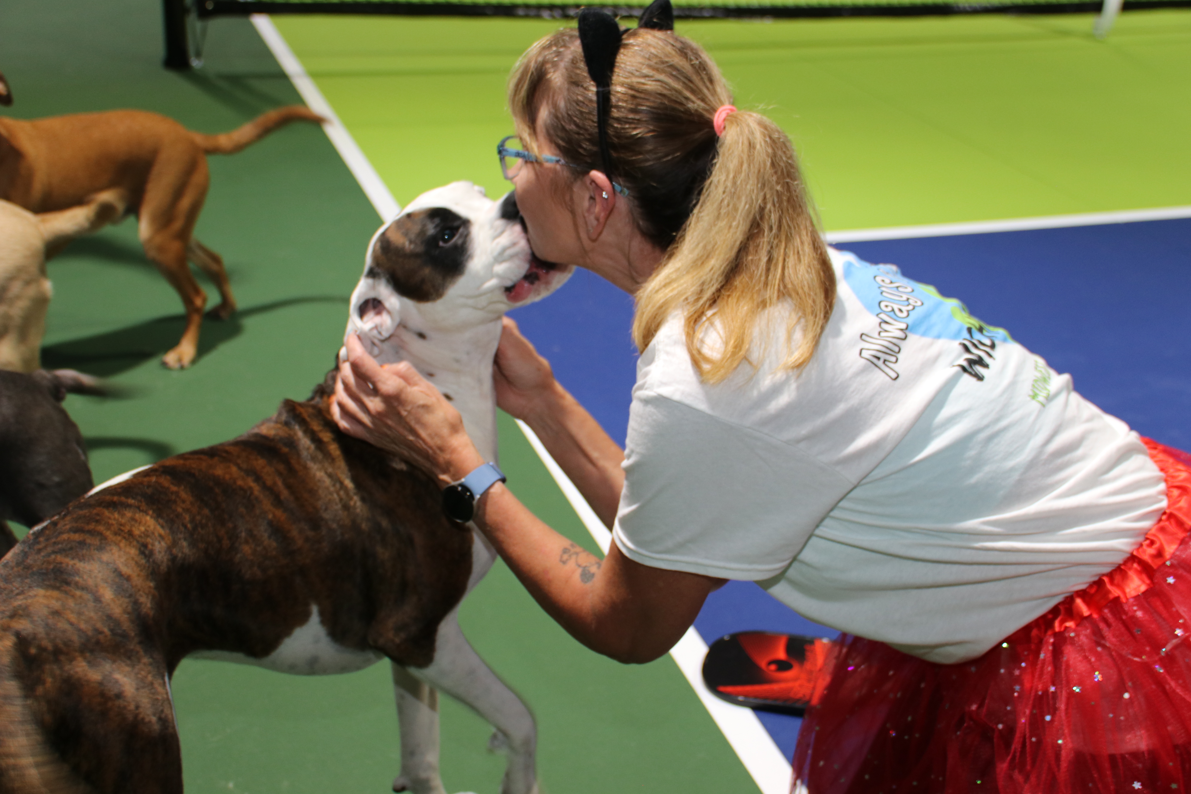 Volunteer with rescue dog on court